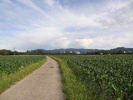 Asphaltierter Feldweg Dietenbachniederung: Blick Schauinsland