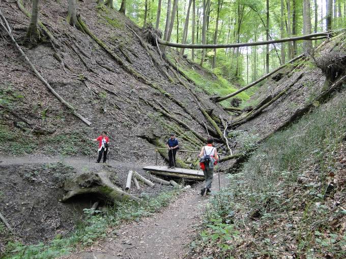 Obere Marienschlucht