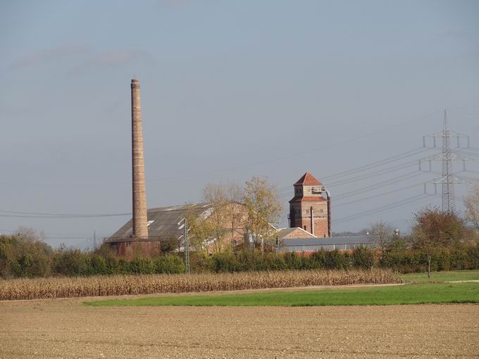 Richtberg-Siedlung Auggen: Sgehalle