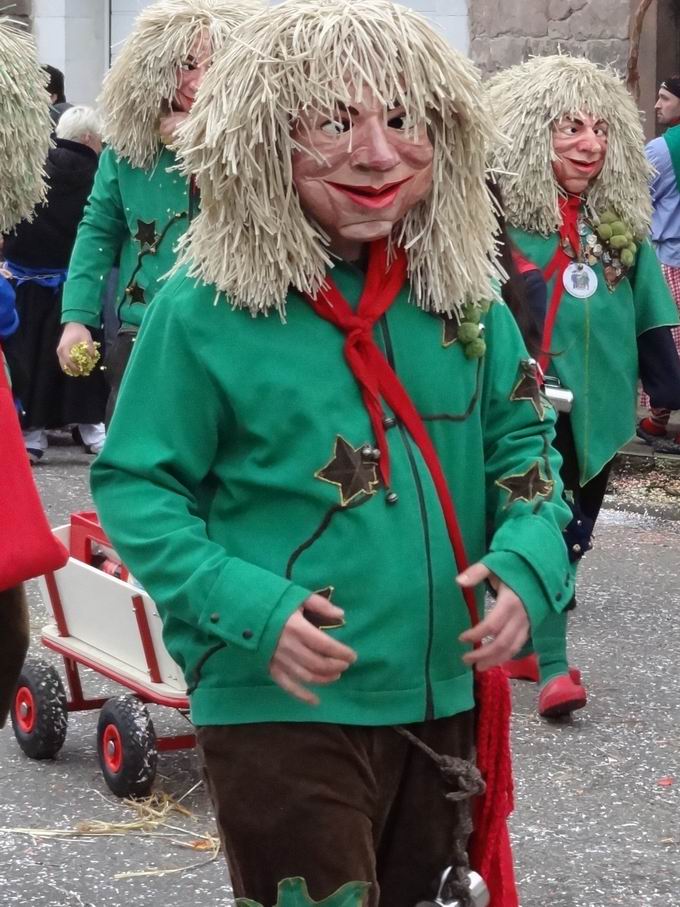 Umzug Fasnet Gundelfingen 2017