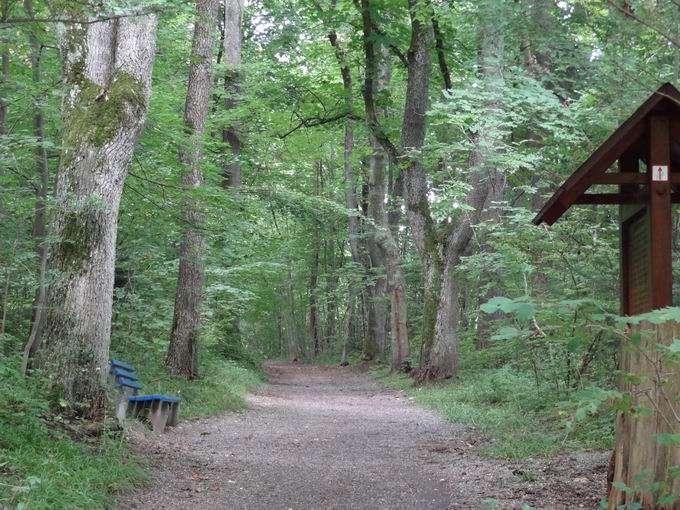 Kapfwald Bad Drrheim