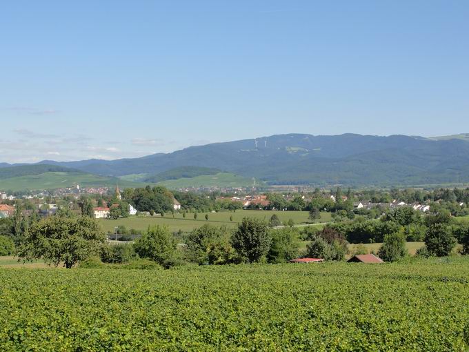 Bad Krozingen