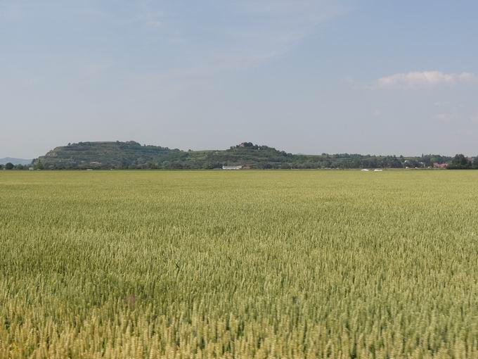 Kanalweg Biengen: Tuniberg