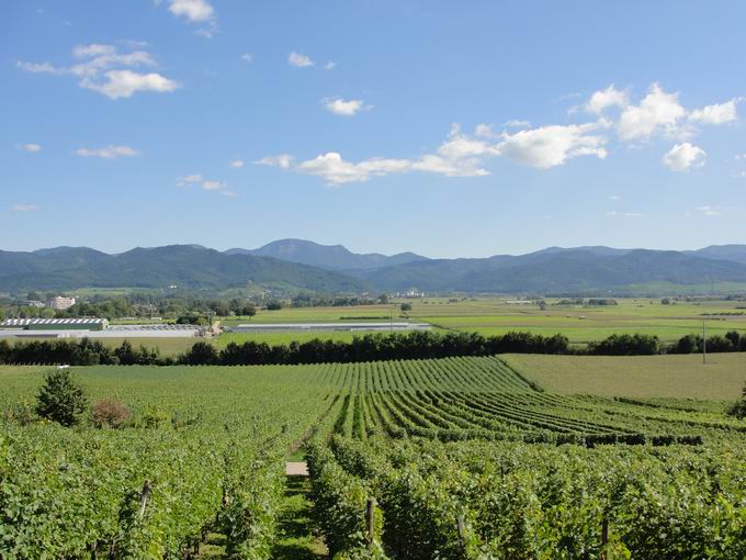 Krozingen Berg: Belchen