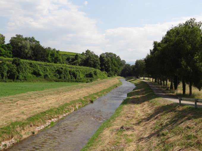 Dottighofer Straße: Südblick Neumagen