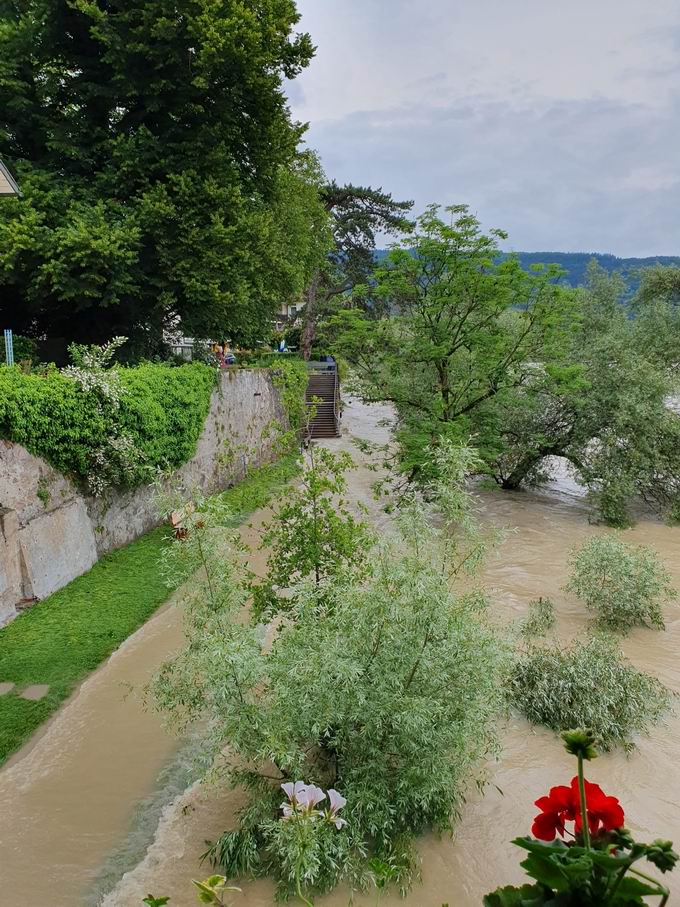 Sckinger Holzbrcke: Nrdlicher Rheinuferweg bei Hochwasser