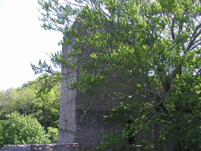 Burg Hohenbaden: Bergfried