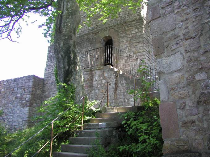 Burg Hohenbaden: Baum Oberburg