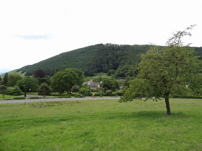 Brhl Badenweiler: Blick Eichwald