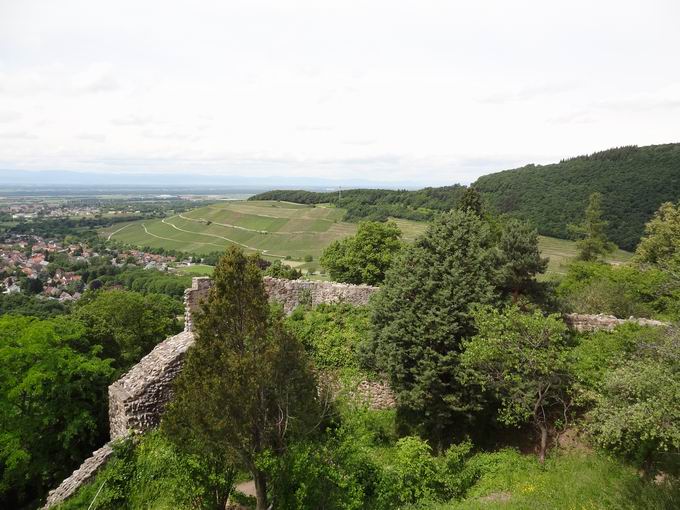 Bergfried Burg Badenweiler: Blick Innerberg