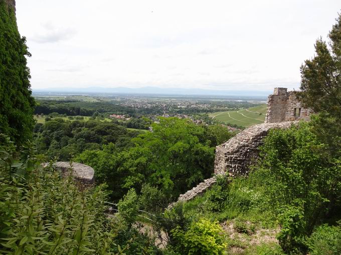 Burg Badenweiler: Blick Innenhof Rheinebene