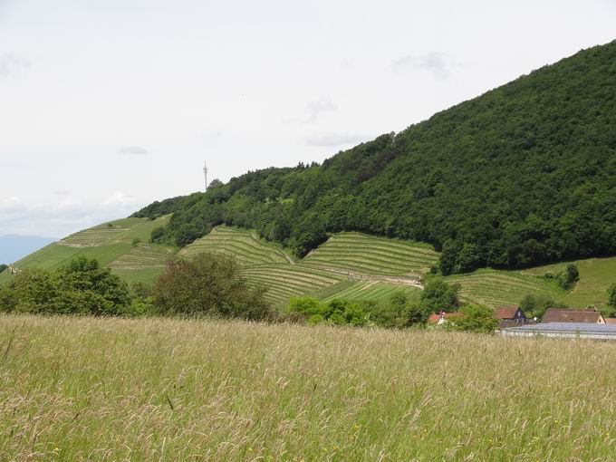 Park der Sinne Badenweiler: Blick Innerberg