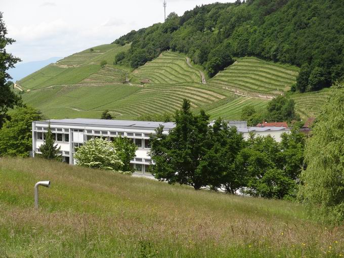 Ren-Schickele-Schule Badenweiler