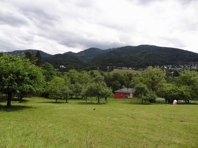 Rmerberg-Klinik Badenweiler: Hochblauen