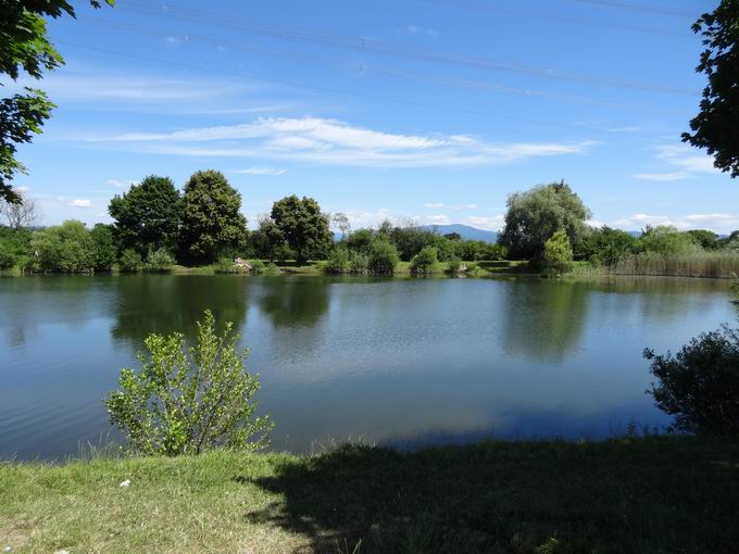 Lhlinsee bei Bahlingen