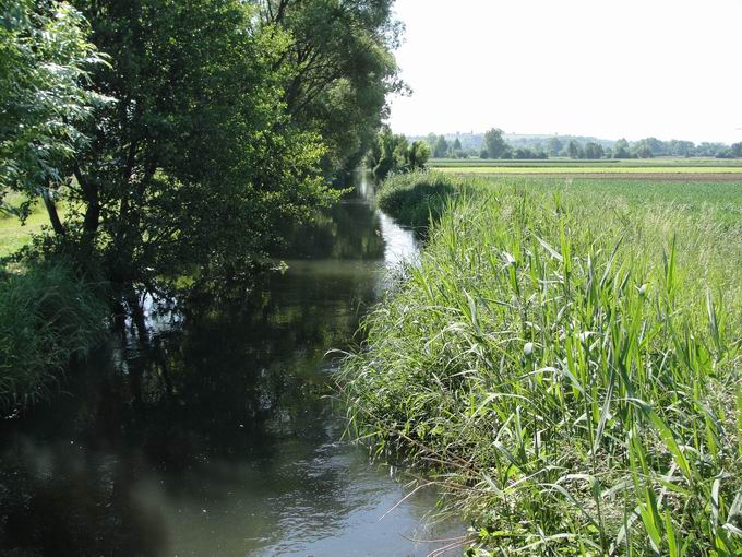 Mhlkanal Bahlingen: Sdblick Stadenweg