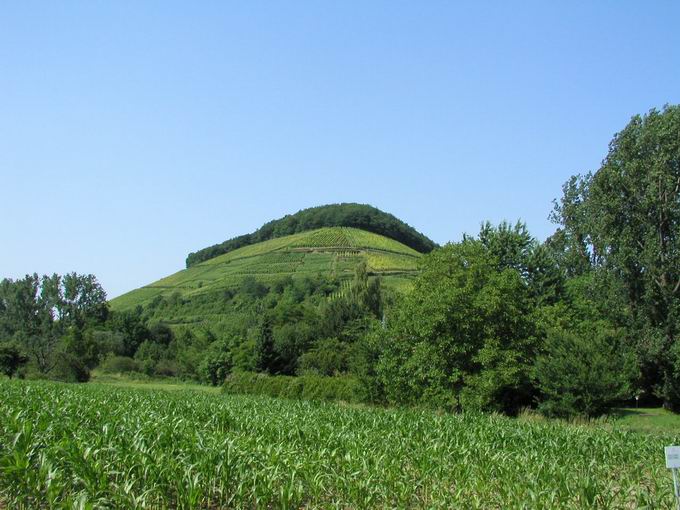 Castellberg Ballrechten Dottingen