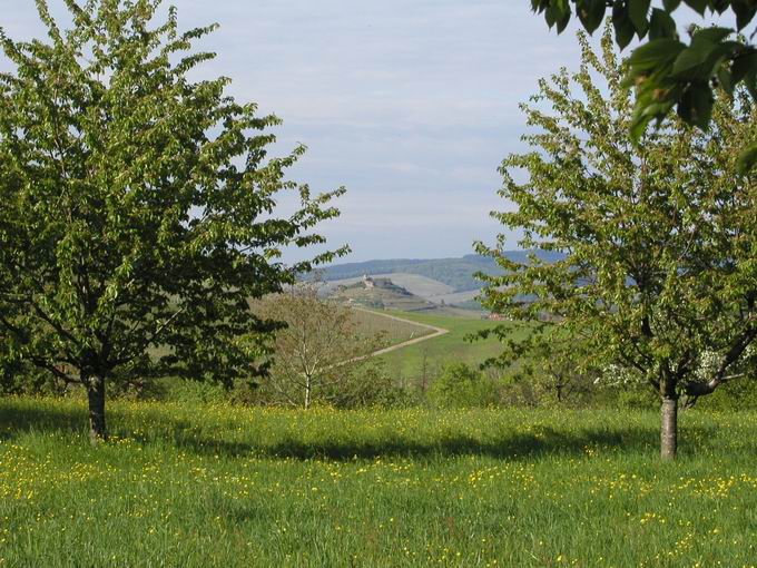 Panoramarundweg