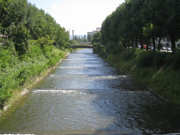 Fluss Wiese Basel-Kleinhningen