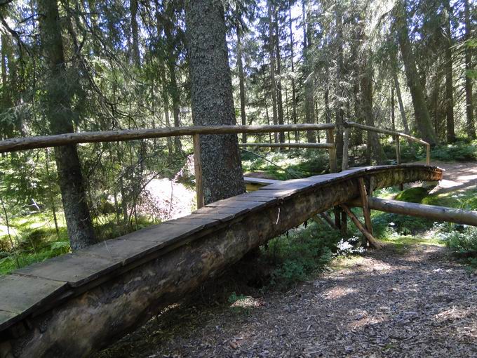 Zauberwald-Pfad Bernau: Holzsteg