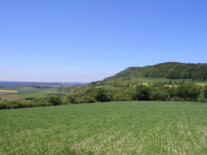 Buchberg Blumberg: Ostansicht