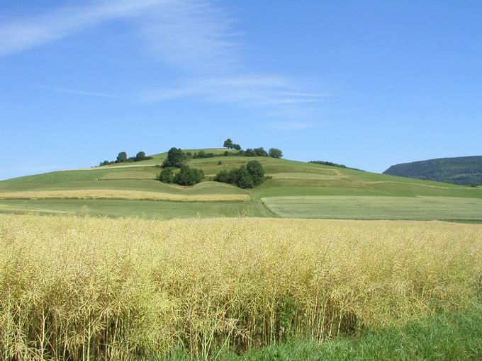 Hartbuck Ftzen: Sdansicht