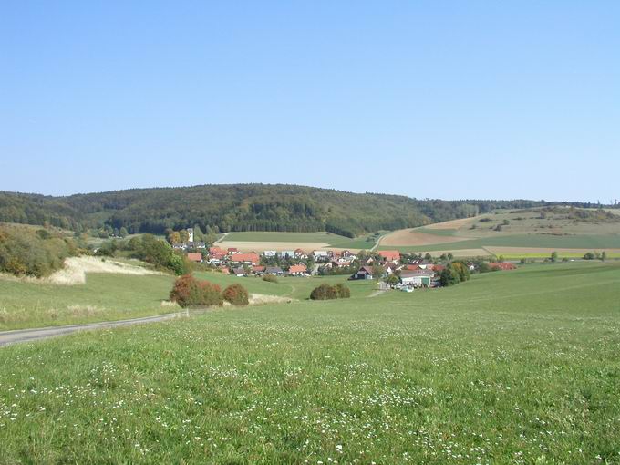 Hondingen: Lngewald