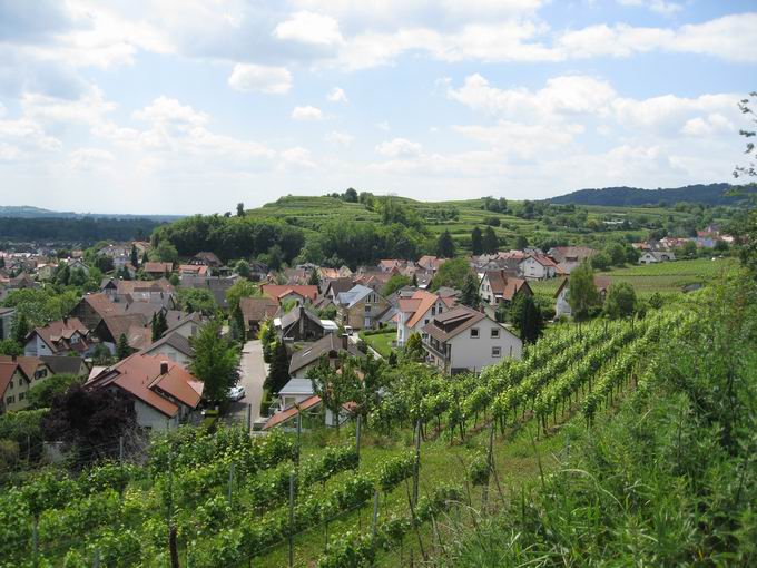 Burg auf dem Seelenberg