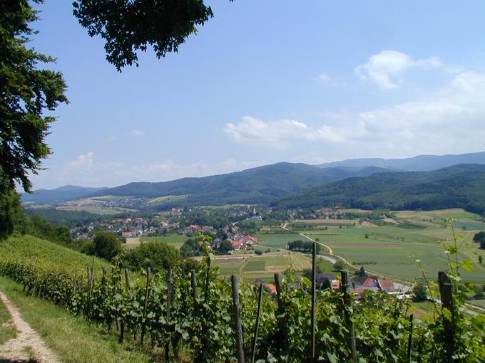 Breisgau (Region)