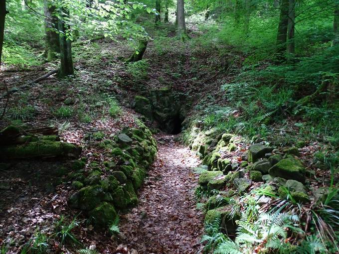 Lehrpfad Birchiburg: Mundloch