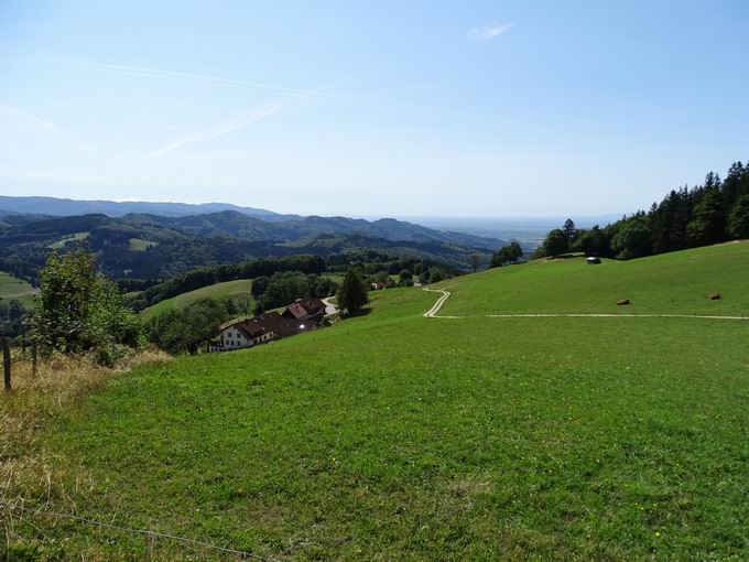 Gerstenhalmkamm: Blick Geiersnest