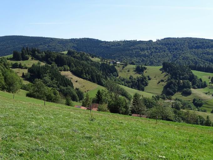 Gerstenhalmkamm: Blick Hohbhl