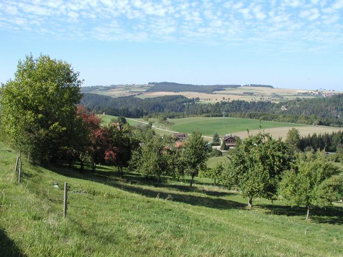 Boll bei Bonndorf