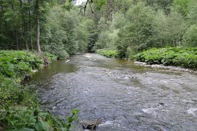 Tannegger Wasserfall: Wutach