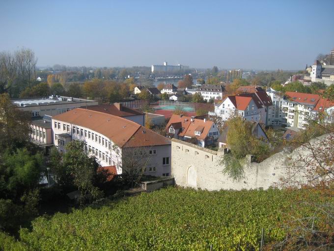 Eckartsberg: Blick Martin-Schongauer-Gymnasium