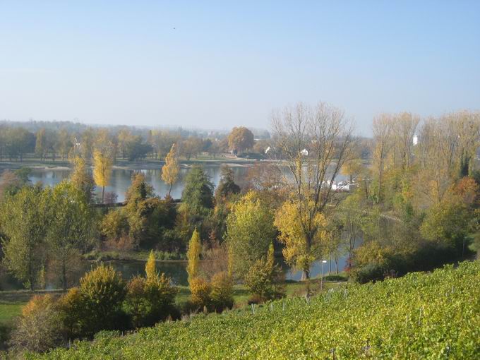 Eckartsberg: Blick Möhlin