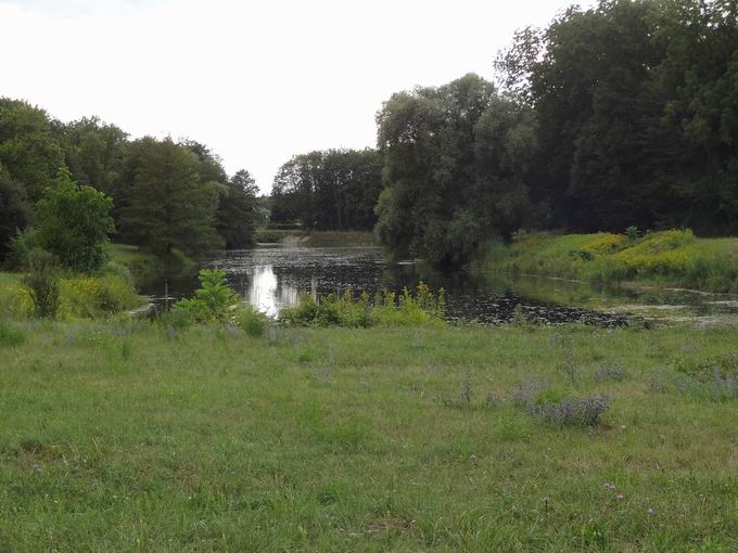 Europaweiher bei Breisach