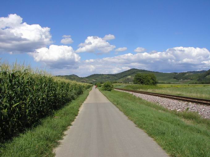 Wirtschaftsweg Breisach Achkarren