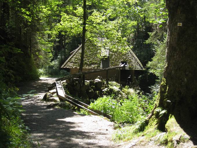 Hochschwarzwald