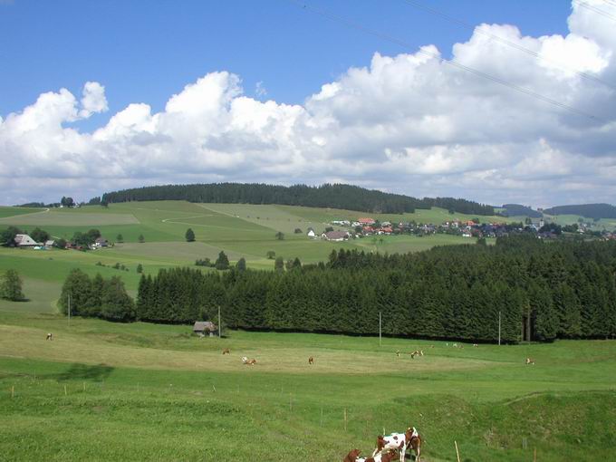 Hinterdorf: Blick Rossberg & Breitnau