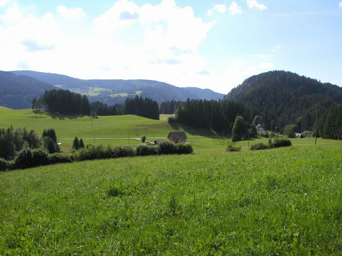 Hinterzarten 