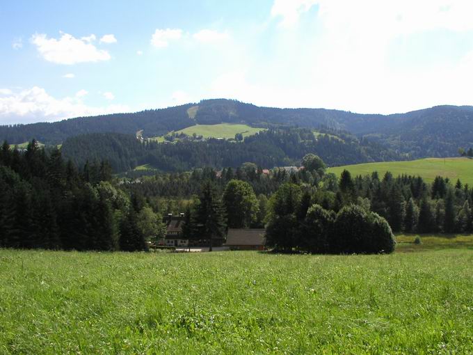 Naturschutzgebiet Hirschenmoor