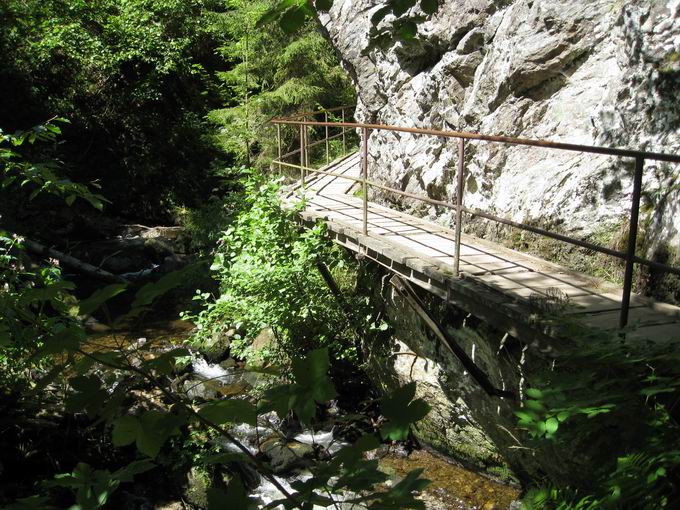 Langer Holzsteg Ravennaschlucht