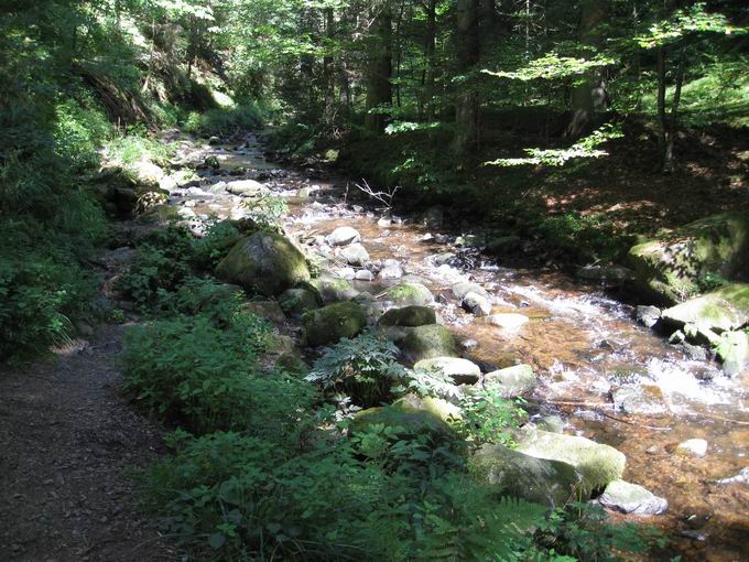 Ravennaschlucht: Ravenna Obere Schlucht