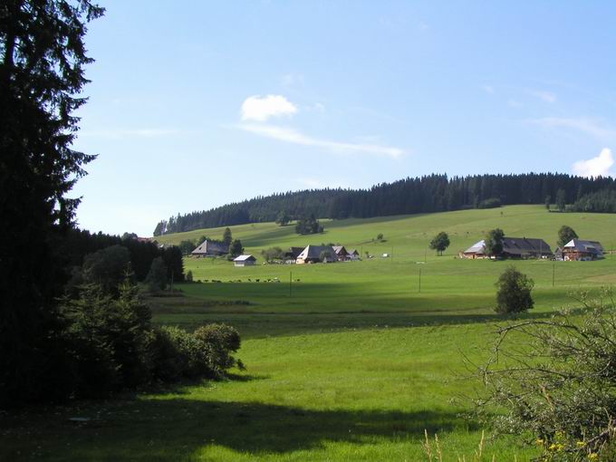 Rossberg Breitnau