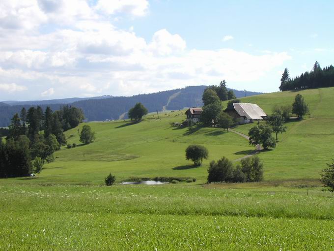 Wirbstein Breitnau