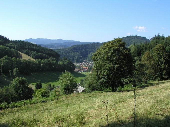 Buchenbach im Dreisamtal