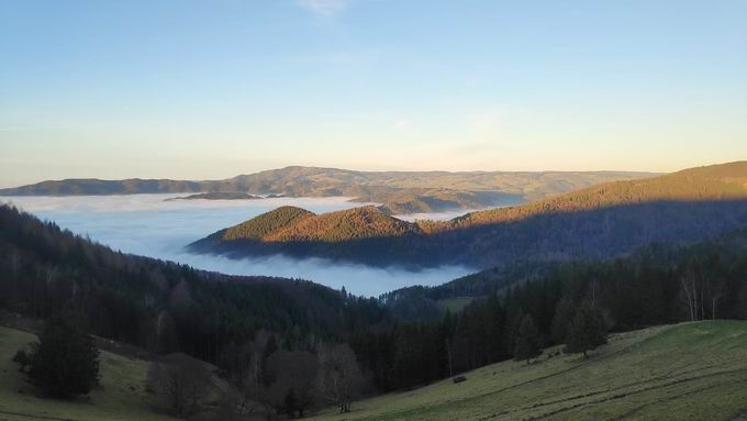 Buchenbach im Dreisamtal