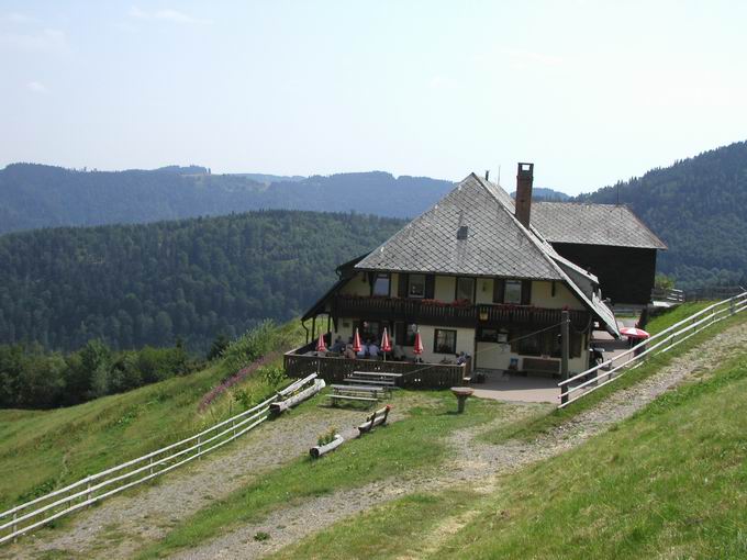 Buchenbach im Dreisamtal