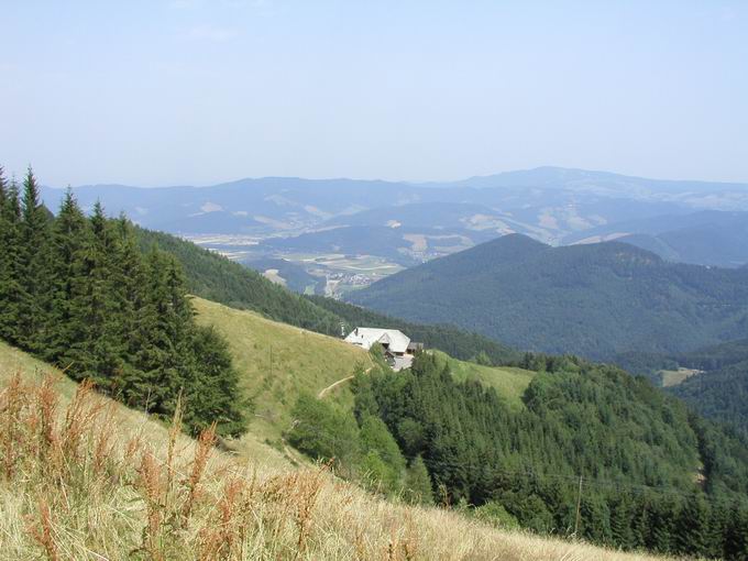 Dreisamtal bei Falkensteig